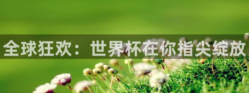 2026世预赛赛程:全球狂欢:世界杯在你指尖绽放