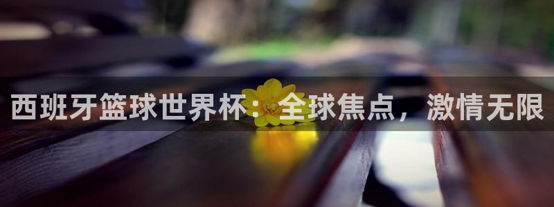 世界杯比赛直播:西班牙篮球世界杯:全球焦点,激情无限