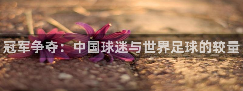 2026世界杯买球:冠军争夺:中国球迷与世界足球的较量