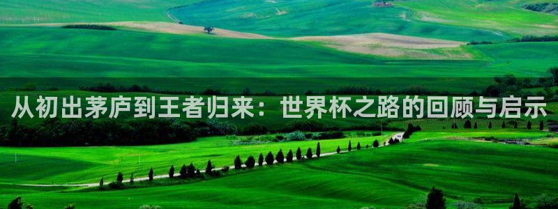 世界杯直播观看:从初出茅庐到王者归来:世界杯之路的回顾与启示