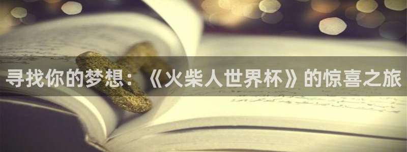 世界杯48支球队赛制:寻找你的梦想:《火柴人世界杯》的惊喜之旅