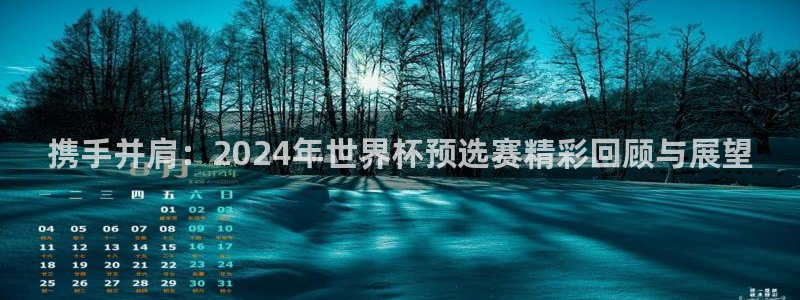 2026世预赛赛程表:携手并肩:2024年世界杯预选赛精彩回顾与展望