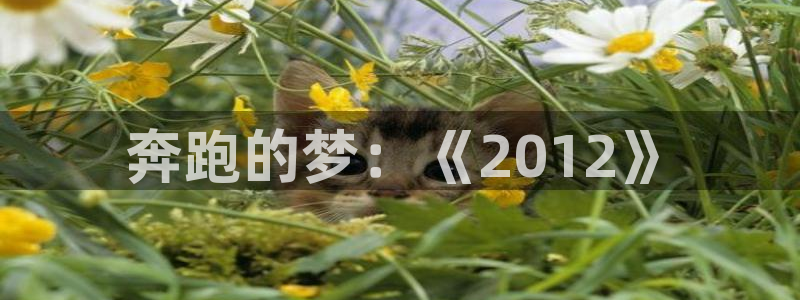 世界杯足球直播:奔跑的梦:《2012》