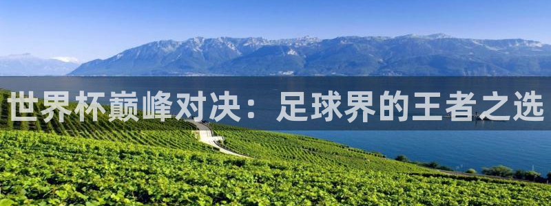 世界杯欧洲预选赛:世界杯巅峰对决:足球界的王者之选