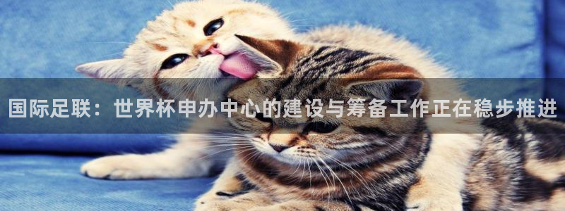 免费足球比赛直播高清:国际足联:世界杯申办中心的建设与筹备工作正在稳步推进