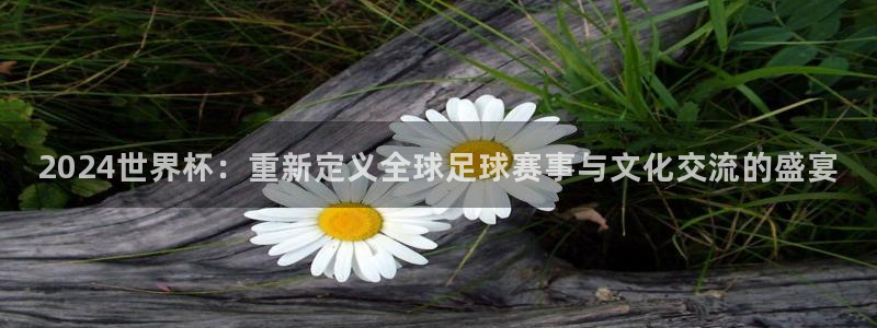 2026足球世界杯赛程时间表:2024世界杯:重新定义全球足球赛事与文化交流的盛宴